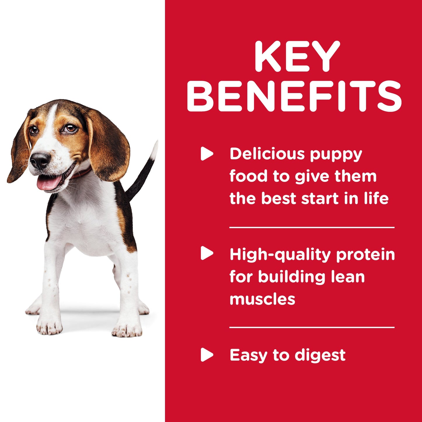 Hill's Science Diet Puppy Savory Stew Chicken & Vegetable Canned Dog Food 363g - Woonona Petfood & Produce