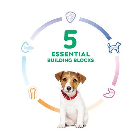 Hill's Science Diet Puppy Small Bites Dry Dog Food - Woonona Petfood & Produce