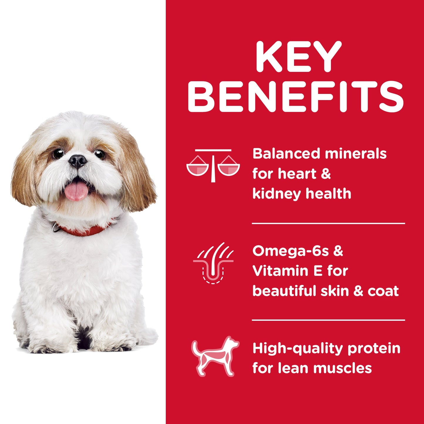 Hill's Science Diet Senior Adult 7+ Small Bites Dry Dog Food 2kg - Woonona Petfood & Produce