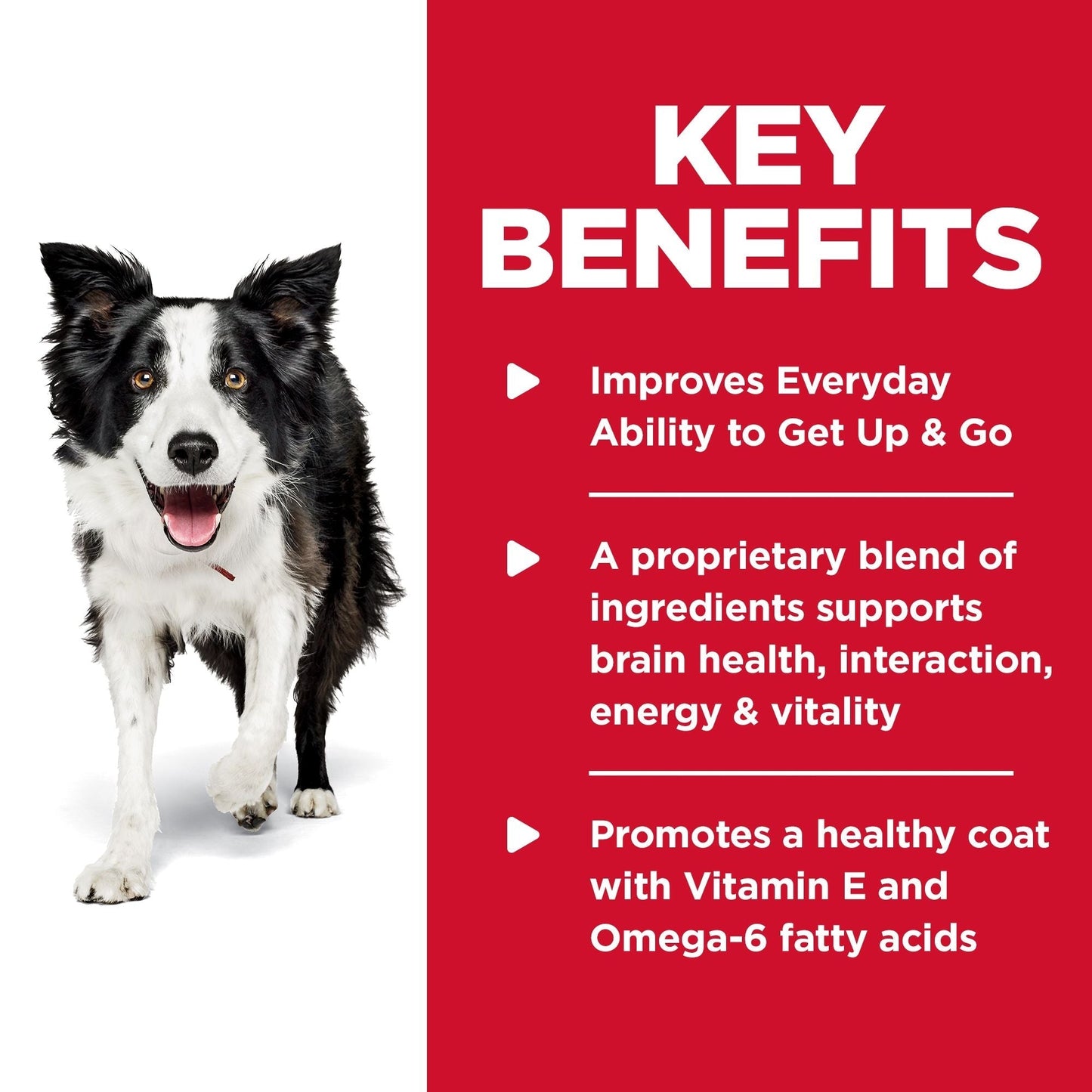 Hill's Science Diet Youthful Vitality Senior Adult 7+ Dry Dog Food - Woonona Petfood & Produce