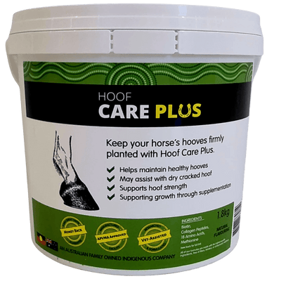 Hoof Care Plus