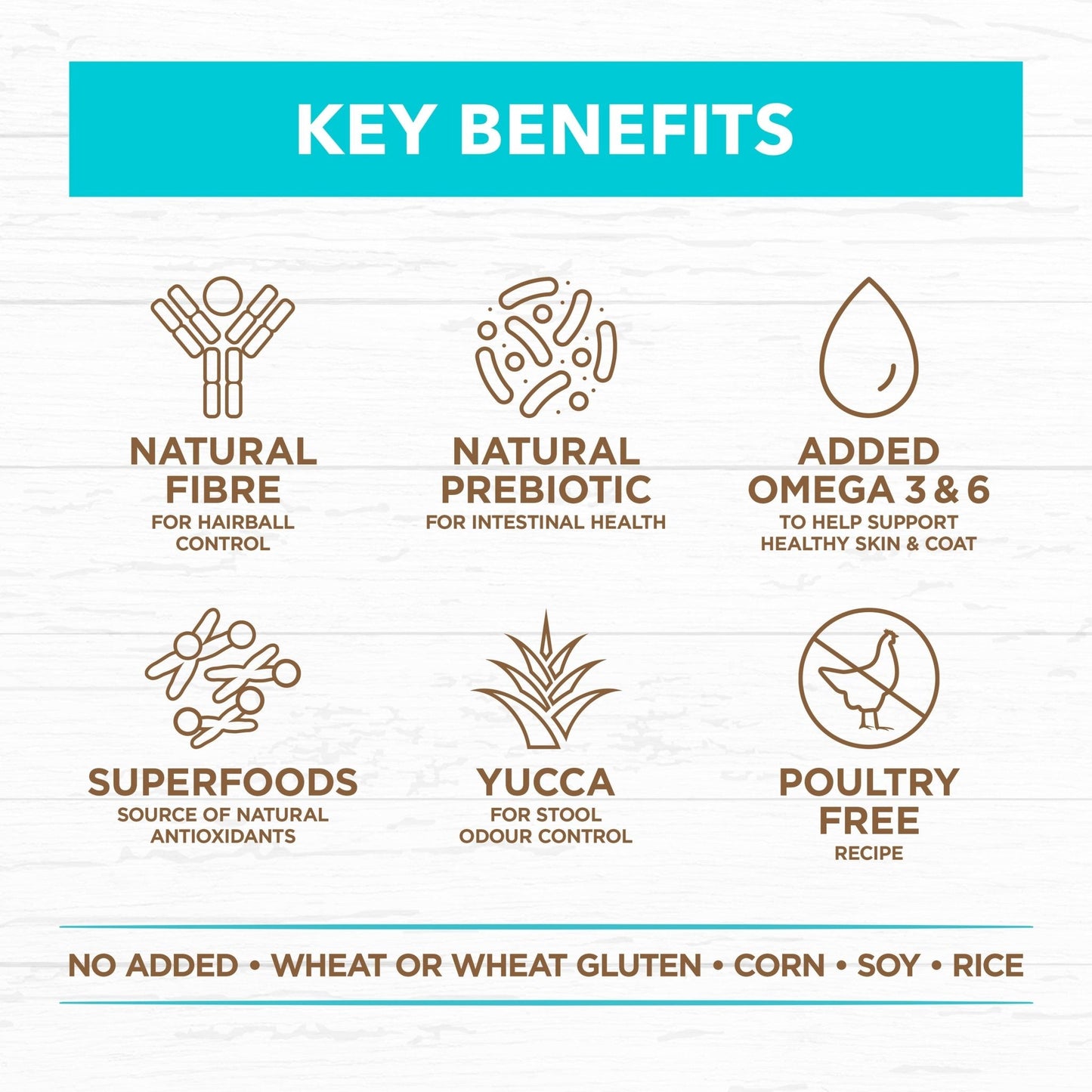 Ivory Coat Grain Free Cat Dry Food Kitten Ocean Fish 2kg - Woonona Petfood & Produce