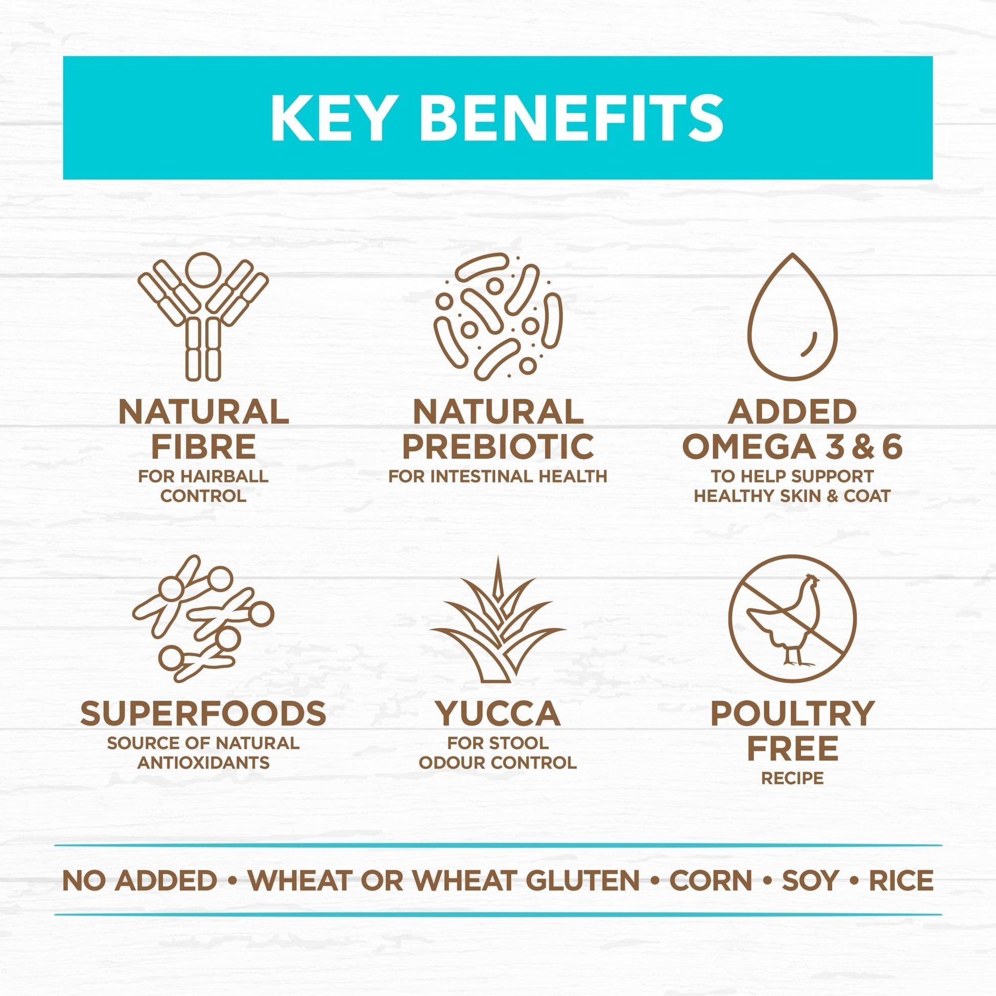 Ivory Coat Grain Free Cat Dry Food Kitten Ocean Fish 2kg - Woonona Petfood & Produce