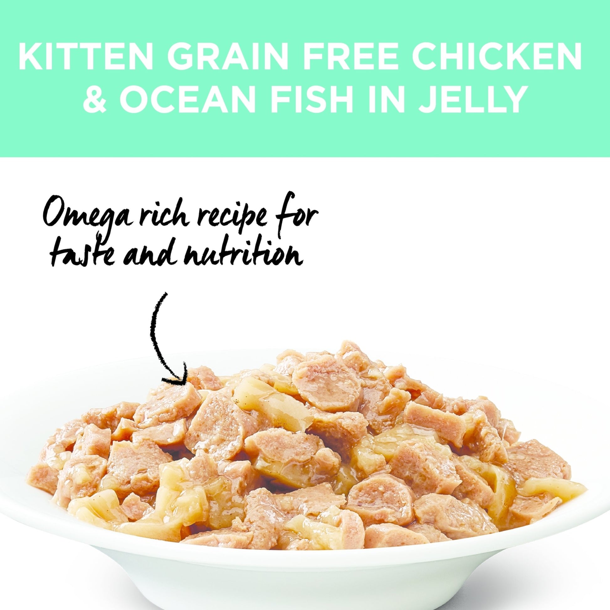 Ivory Coat Kitten Dry Food Chicken & Ocean Fish in Jelly 12x85g - Woonona Petfood & Produce