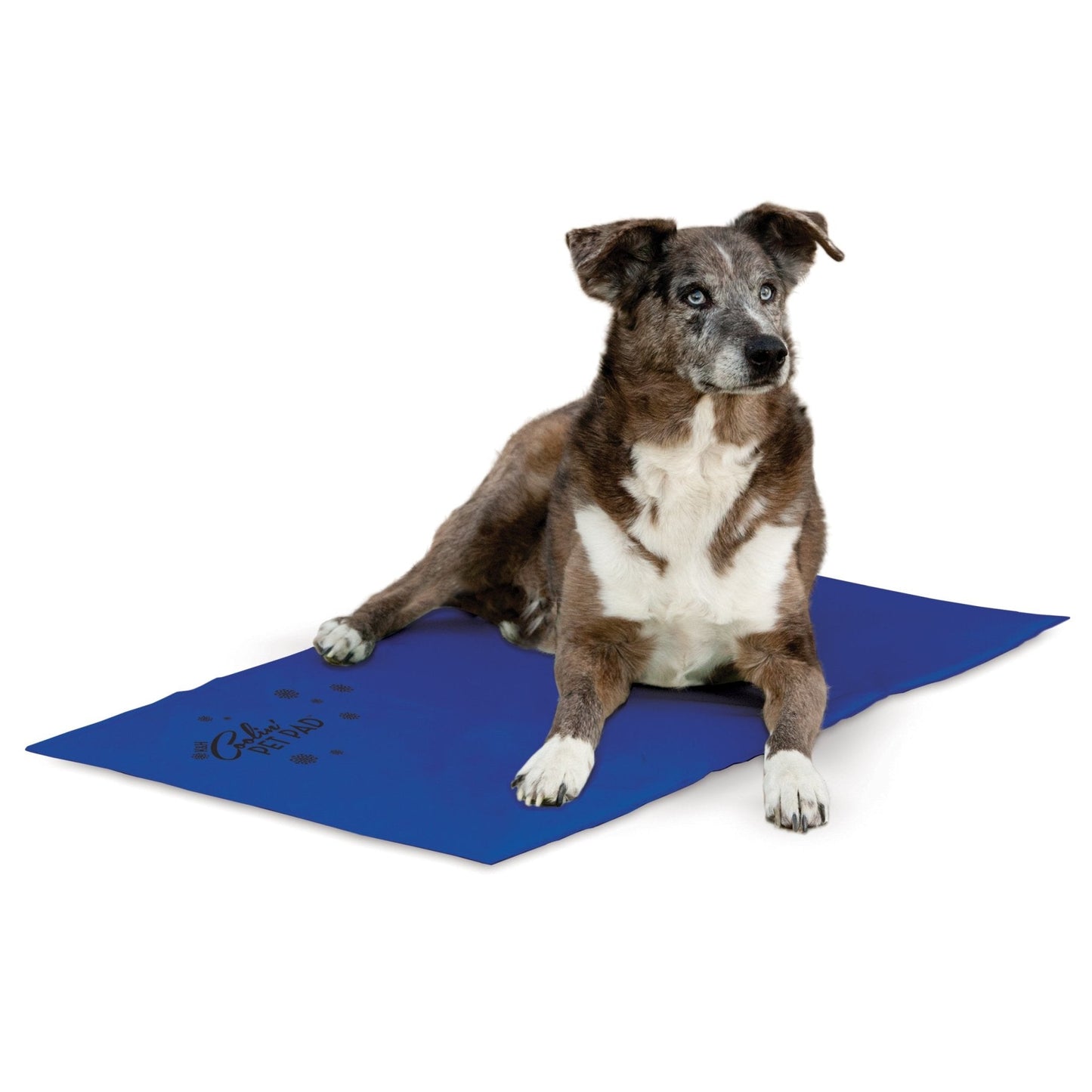 K & H Pet Cooling Pad 95x67cm - Woonona Petfood & Produce