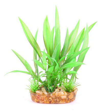 Kazoo Combo Bush Green Thin Leaf 15cm
