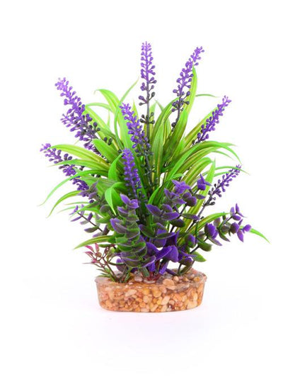 Kazoo Combo Plants Thin Leaf With Purple Flower