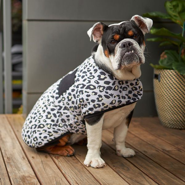 Kazoo Dog Coat Into The Wild Snuggie - Woonona Petfood & Produce