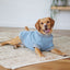 Kazoo Dog Coat Plush Polo Jumper Blue - Woonona Petfood & Produce