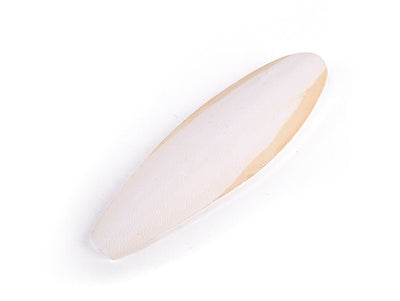 Kazoo Natural Cuttlebone Large 1 Pack