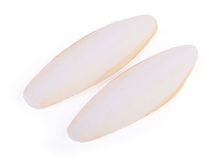 Kazoo Natural Cuttlebone Medium 2 Pack - Woonona Petfood & Produce