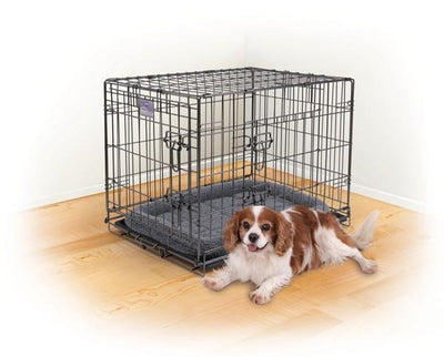 Kazoo Premium Mobile Dog Crate