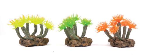 Kazoo Soft Coral With Rock Medium Orange/Yellow - Woonona Petfood & Produce