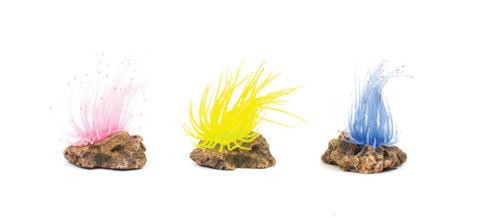Kazoo Soft Grass Coral With Rock Small - Woonona Petfood & Produce