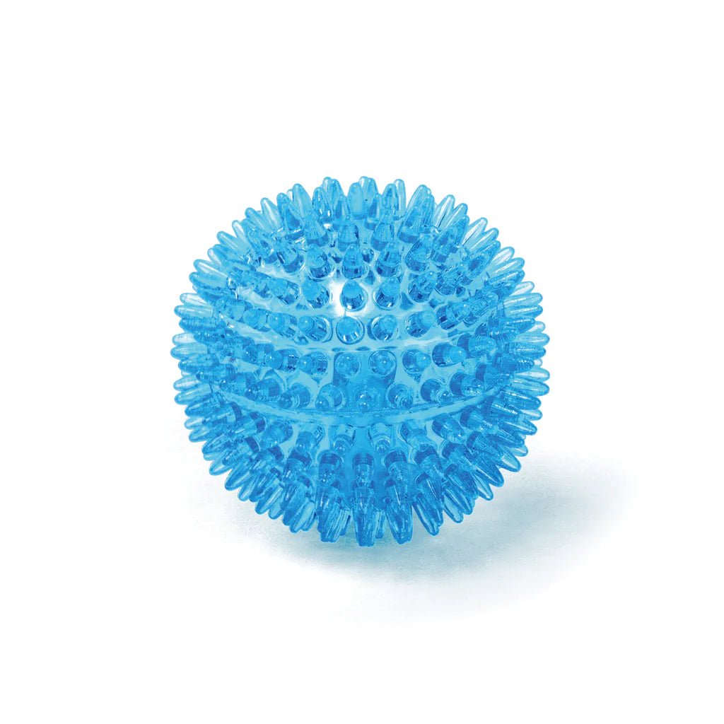 Kazoo Squeaky Space Ball Medium - Woonona Petfood & Produce