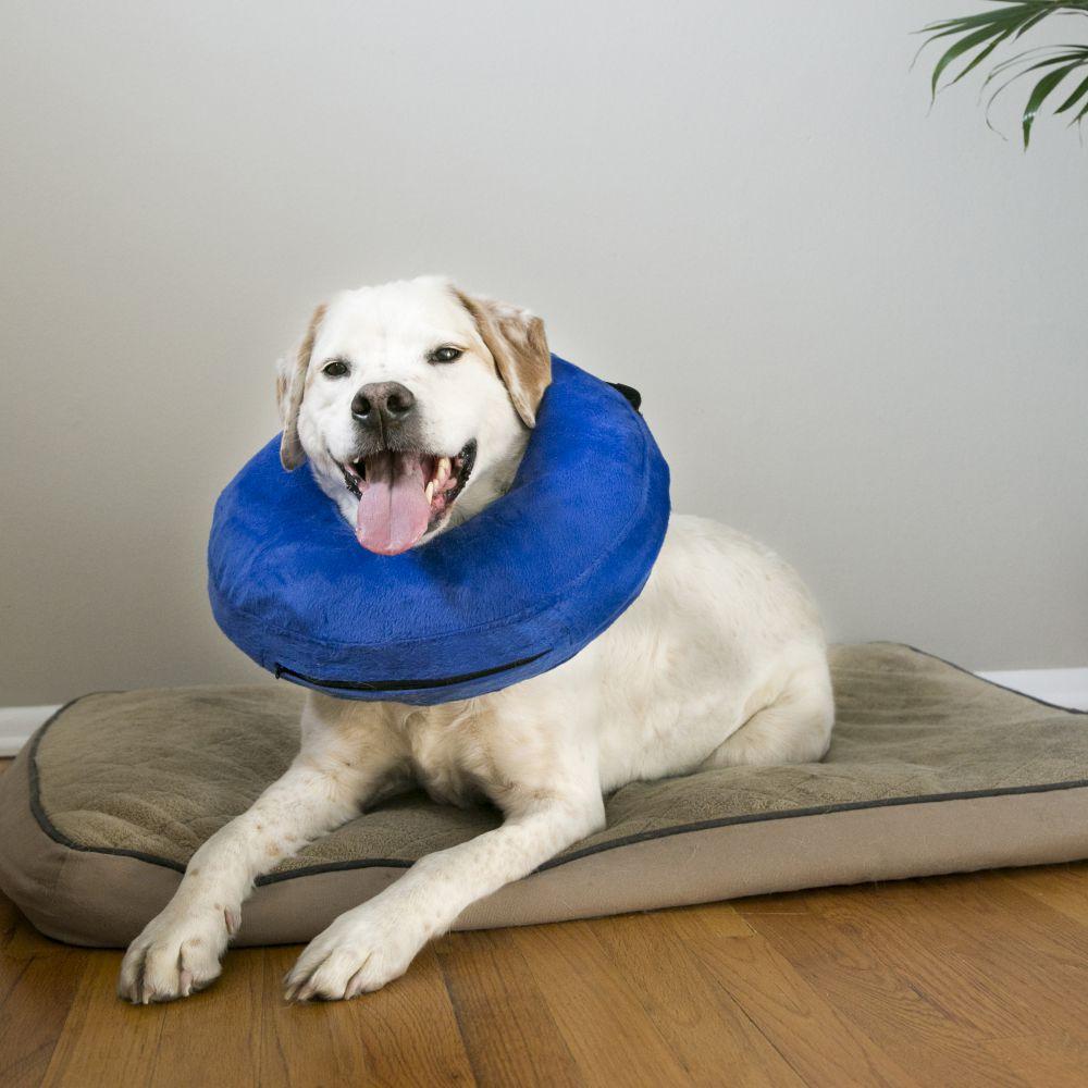 KONG Cloud Collar - Woonona Petfood & Produce