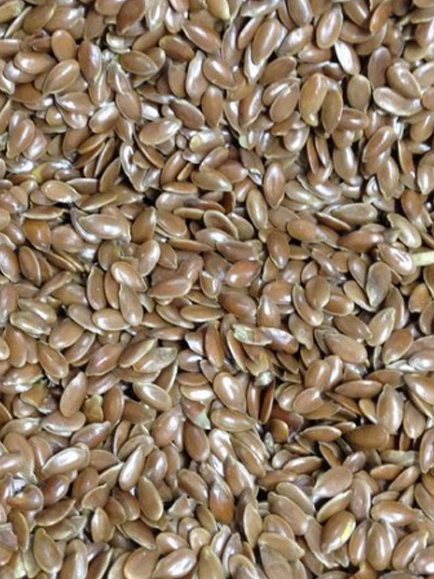 Linseed - Woonona Petfood & Produce