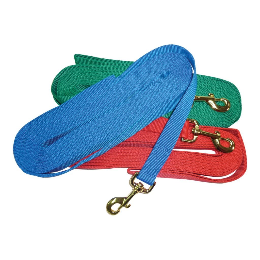 Lunge Lead Nylon 30 Feet - Woonona Petfood & Produce