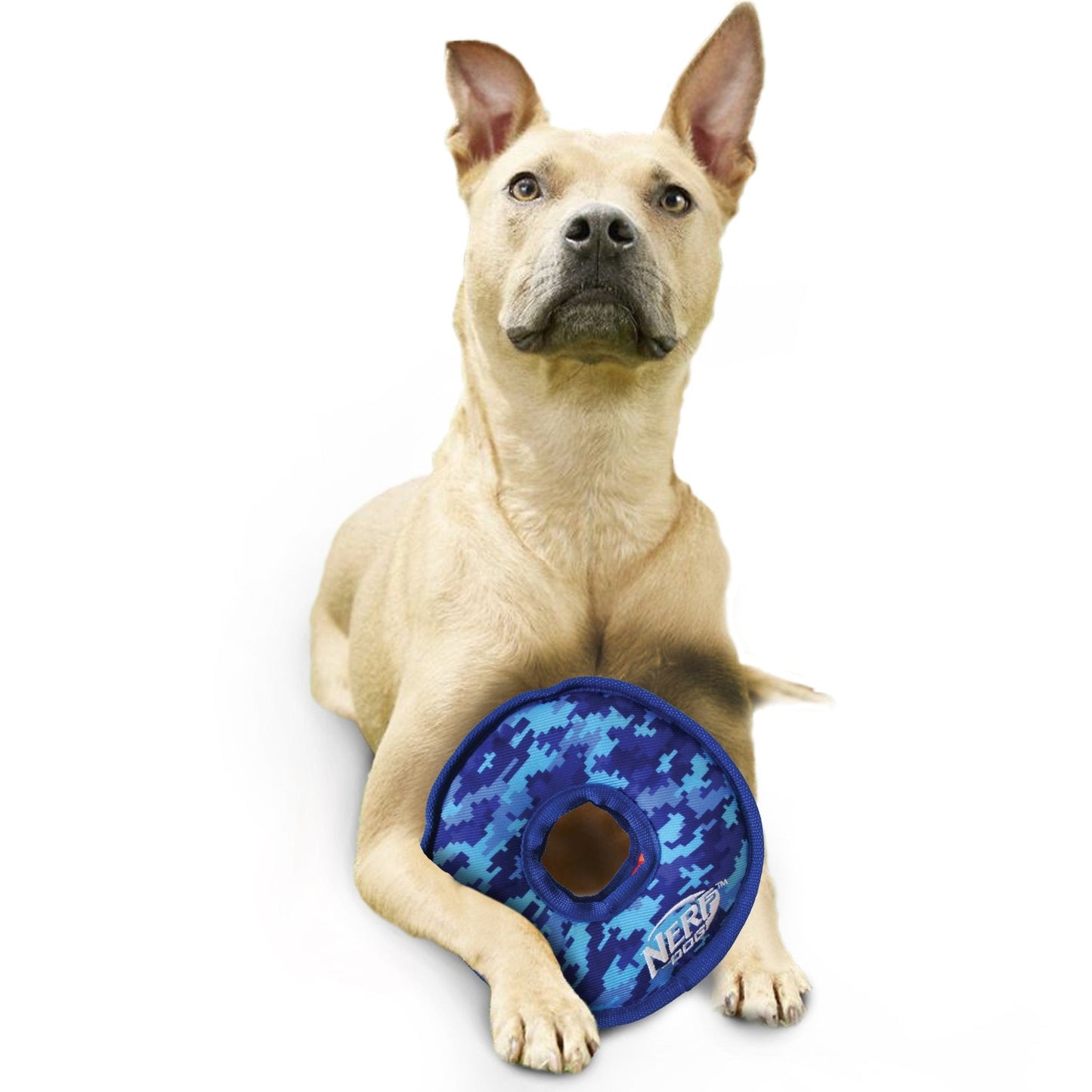 Nerf GRS Nylon - Toss & Tug Ring - Woonona Petfood & Produce