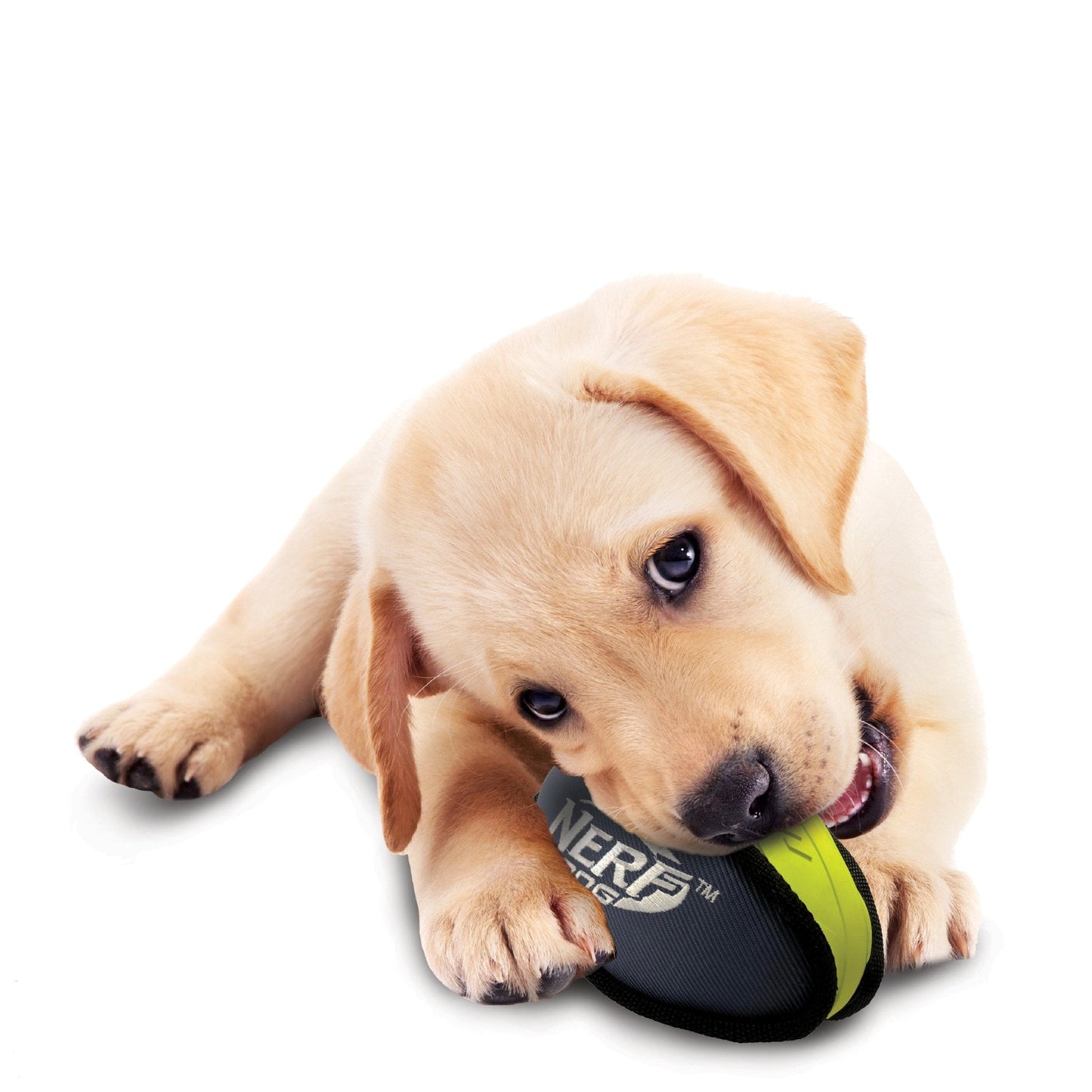 Nerf Tuff Rubber Nylon Plush Football - Green/Grey - Woonona Petfood & Produce