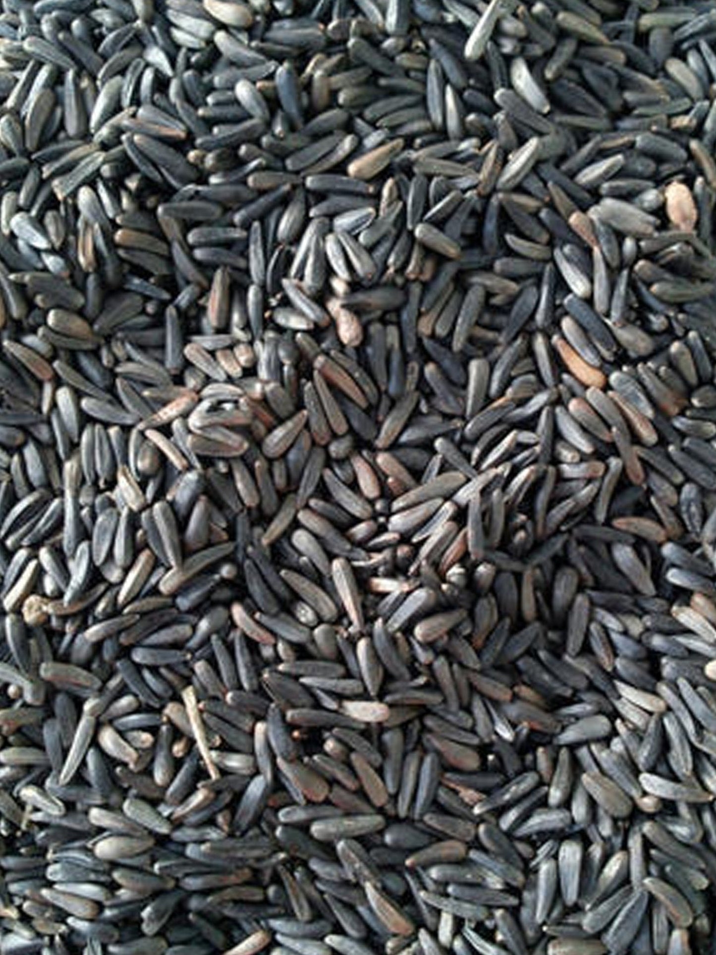 Niger Avigrain - Woonona Petfood & Produce