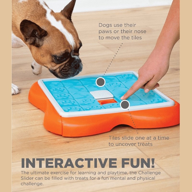 Nina Ottosson Challenge Slider Treat Dispenser for Dogs - Woonona Petfood & Produce