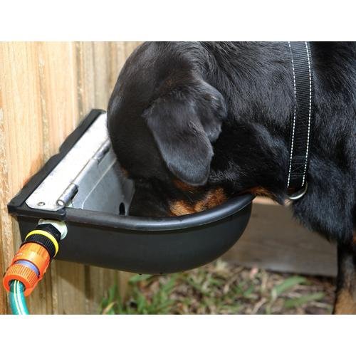 Nylon Auto Drinker - Woonona Petfood & Produce