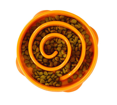 Outward Hound Fun Feeder Orange