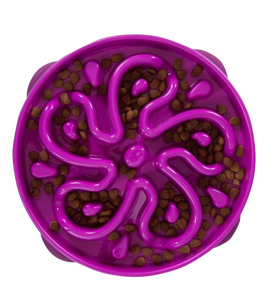 Outward Hound Fun Feeder Purple - Woonona Petfood & Produce