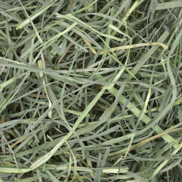 Oxbow Orchard Grass Hay 425g - Woonona Petfood & Produce