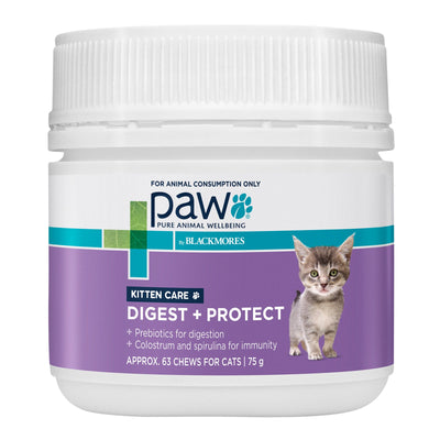 Paw Kitten Digest and Protect Care 75g - Woonona Petfood & Produce