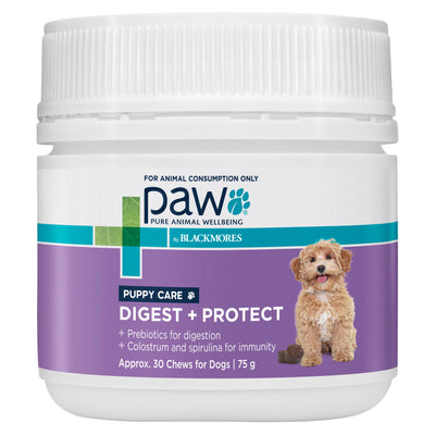 Paw Puppy Digest and Protect Care 75g - Woonona Petfood & Produce