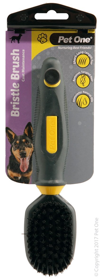 Pet One Bristle Brush Small - Woonona Petfood & Produce
