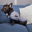 Pet One Dog Coat Night Sleeper Charcoal Blue - Woonona Petfood & Produce