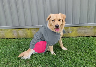 Pet One Dog Coat Night Walker Waterproof Reflective Charcoal Pink - Woonona Petfood & Produce