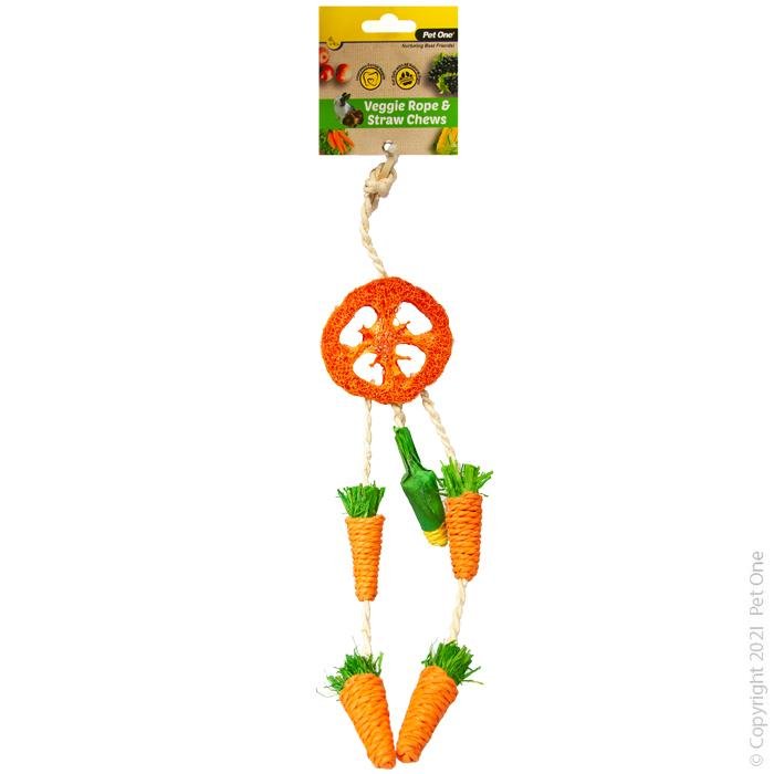 Pet One Veggie Rope & Straw Chew Hanging Dreamcatch - Woonona Petfood & Produce