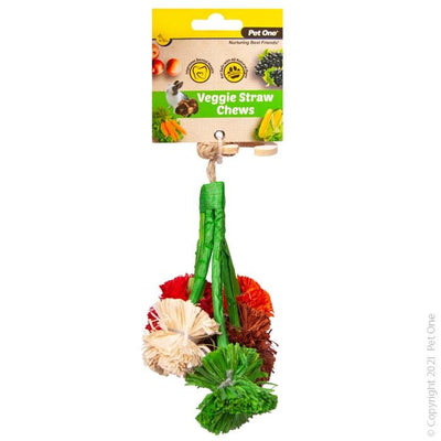 Pet One Veggie Straw Broccoli Hanging 14cm - Woonona Petfood & Produce