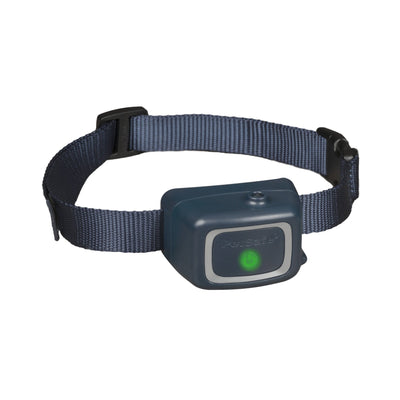 PetSafe Anti Bark Collar