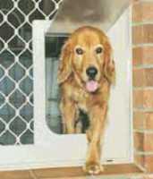 Petway Pet Door Large White - Woonona Petfood & Produce