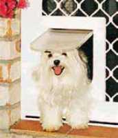 Petway Pet Door Small White - Woonona Petfood & Produce