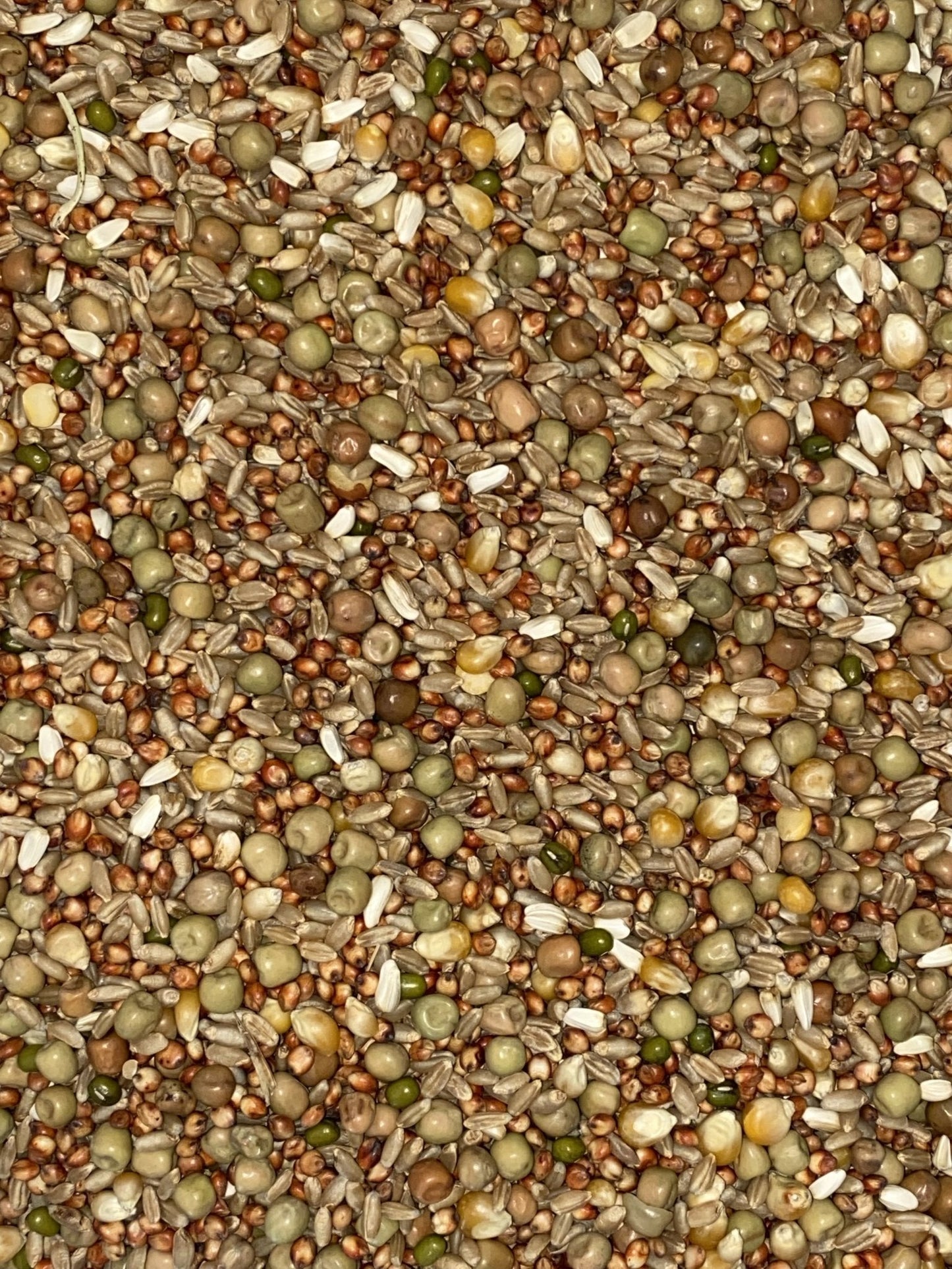 Pigeon Mix JM Stock (Pop Corn) 25kg - Woonona Petfood & Produce