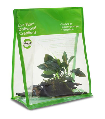 Pisces Driftwood Creations