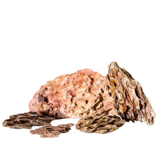 Pisces Natural Products Rock Dragon 5kg Pack