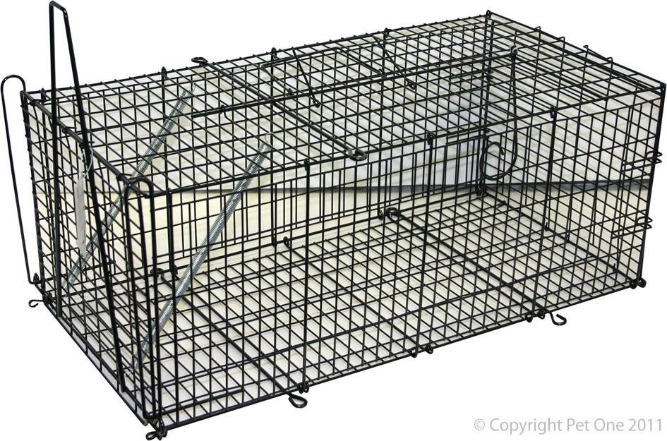 Possum Trap 61 X 31 25 Black Kongs - Woonona Petfood & Produce