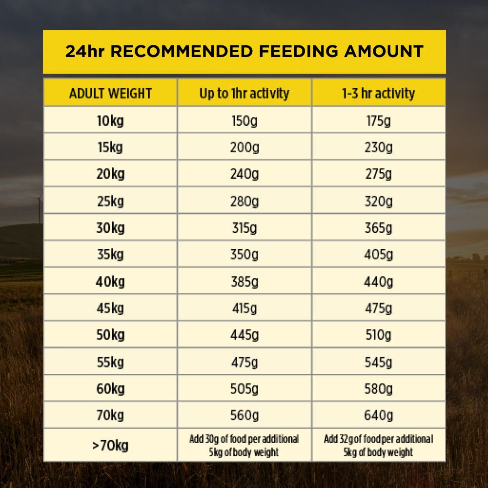 Pro Plan Dog Dry Food Bright Minds 7+ Medium & Large Breed 12kg - Woonona Petfood & Produce