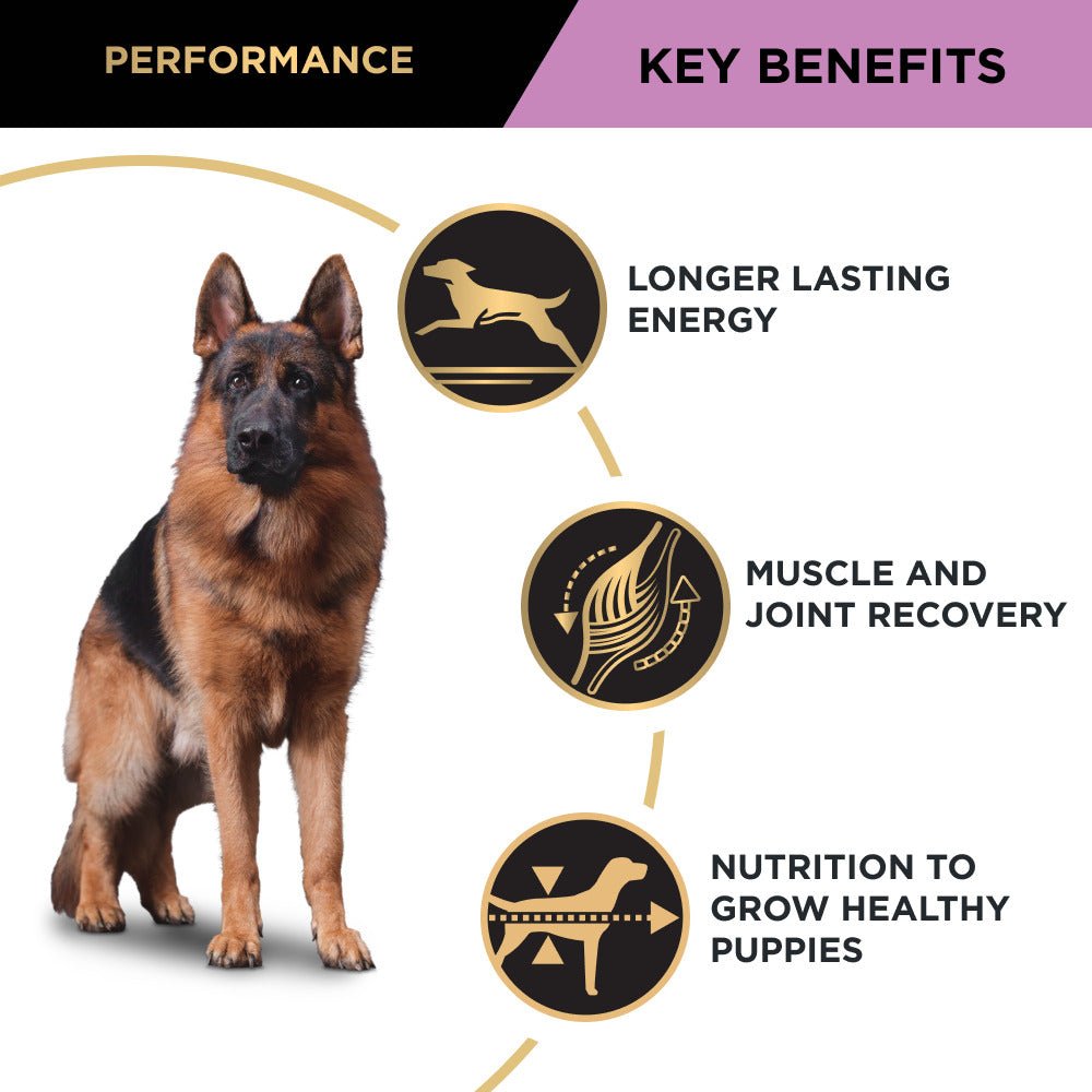 Pro Plan Dog Dry Food Performance - Woonona Petfood & Produce