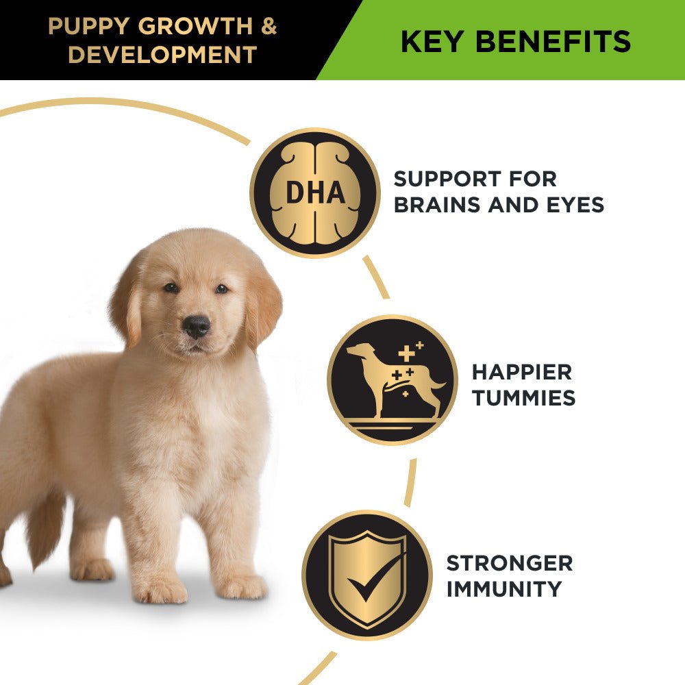 Pro Plan Dog Dry Food Puppy Large Breed Chicken - Woonona Petfood & Produce