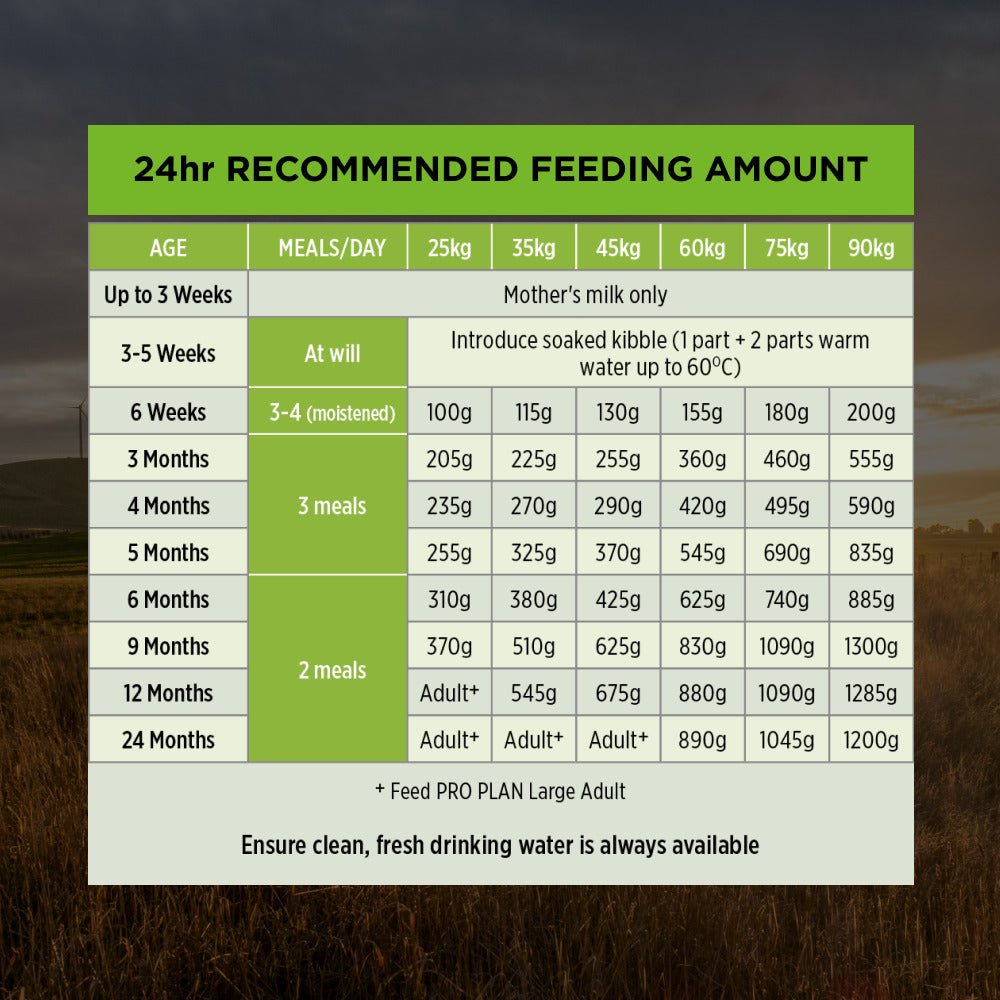 Pro Plan Dog Dry Food Puppy Large Breed Chicken - Woonona Petfood & Produce