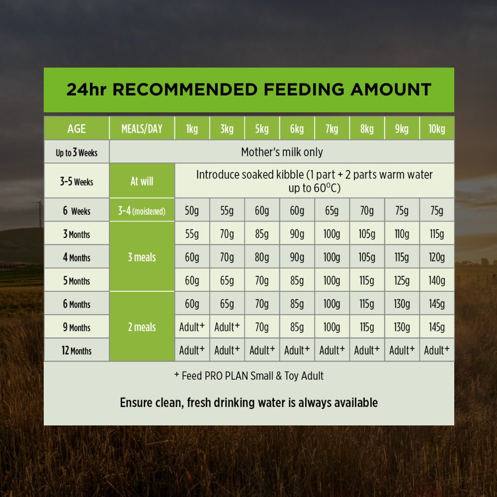 Pro Plan Dog Dry Food Puppy Small and Toy Breed Chicken - Woonona Petfood & Produce