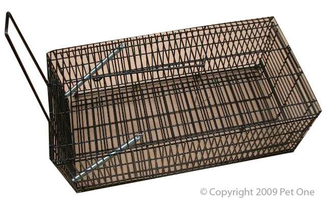 Rat Trap 35x13x18cm Kongs - Woonona Petfood & Produce